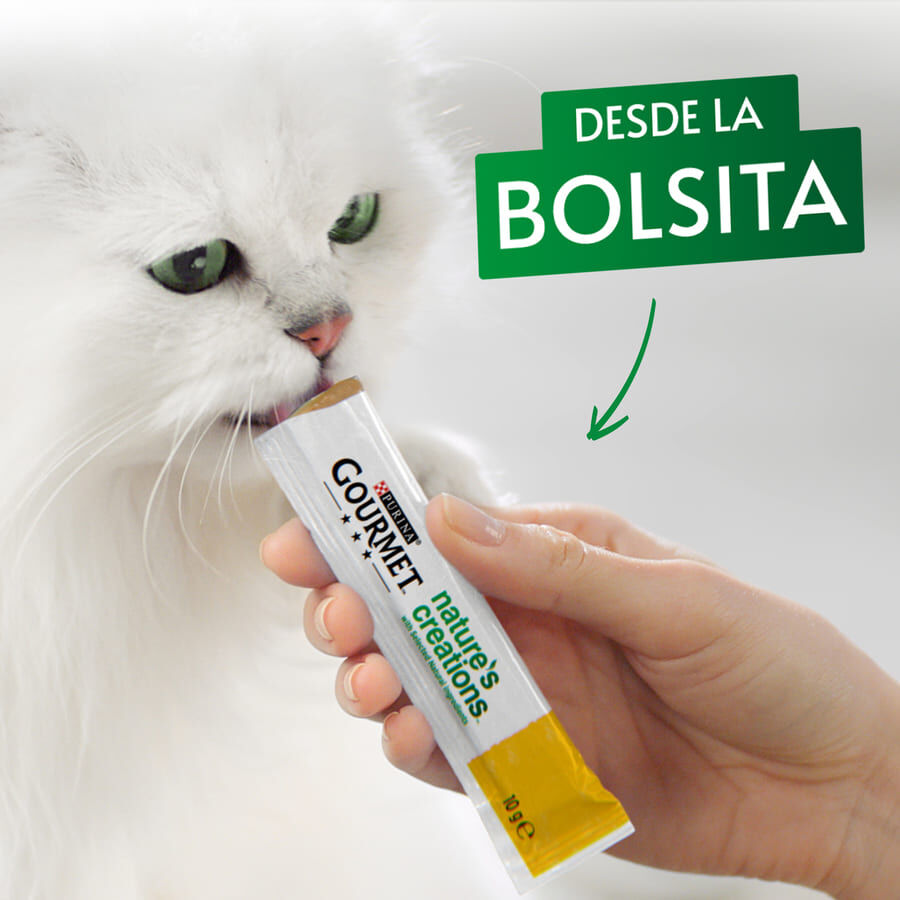 5 sobres x 10 g Gourmet Nature&rsquo;s Creations Snack H&uacute;medo de Salm&oacute;n para gatos, , large Imagen numero 4